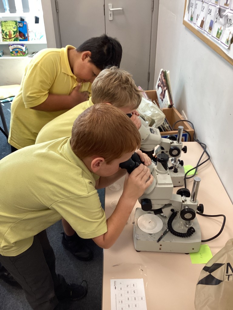 Children looking through microscopes